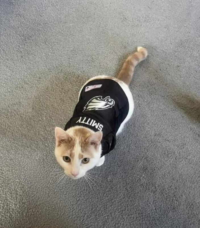 Smitty is always Game Day ready!!