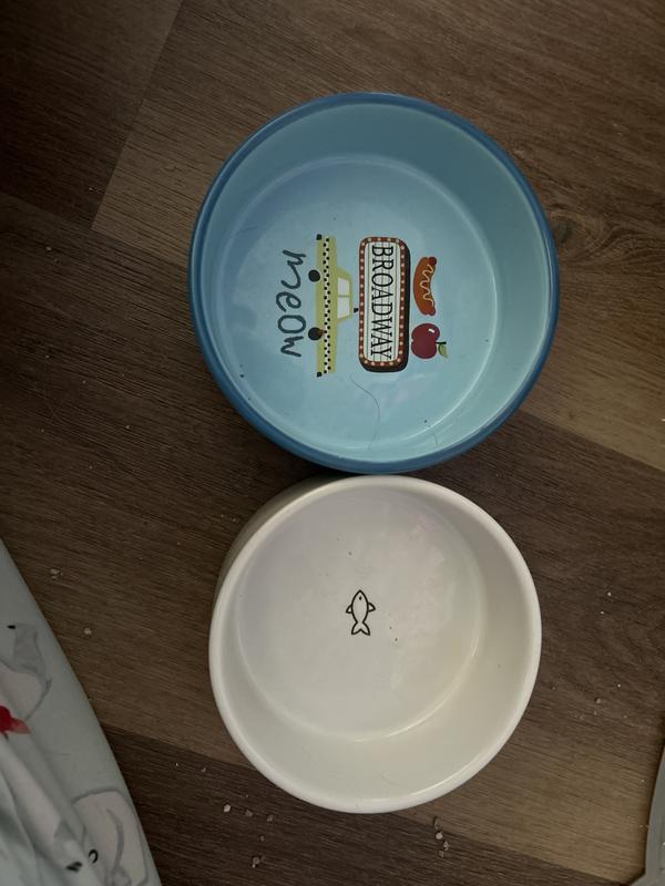 Size difference between this and my other cats bowl