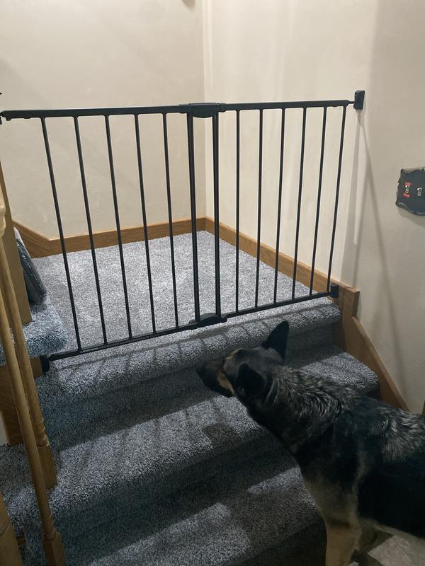 MYPET Windsor Walk Thru Swing Gate for Dogs & Cats