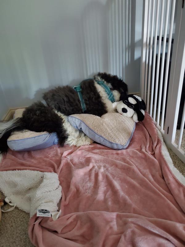 Resting in comfort