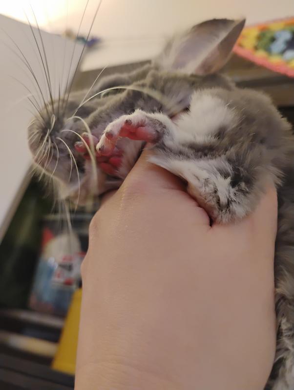 Pink on feet from pink ledge