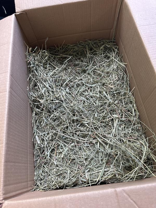 Fresh Timothy Hay