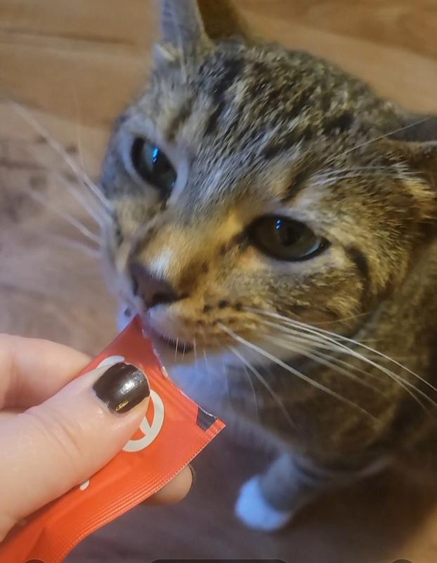 HARTZ Delectables Squeeze Up Chicken with Catnip Flavored GrainFree