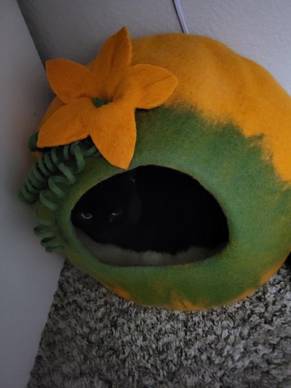 A black cat just visible inside a green and orange felt pumpkin bed