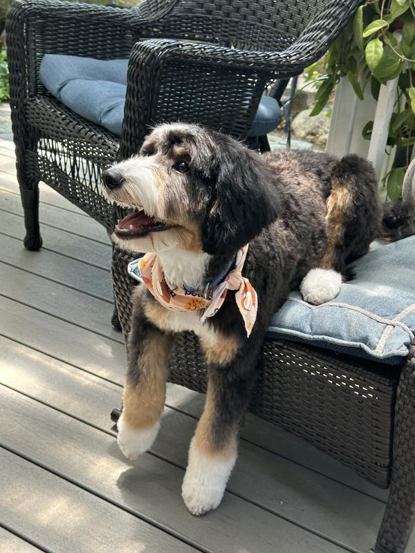 Mom, love this new shampoo