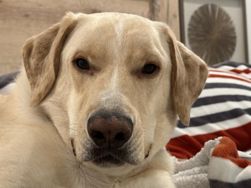 Exhibit 1 - picky eater