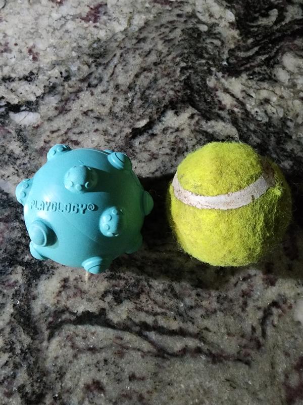 Roughly tennis ball size.