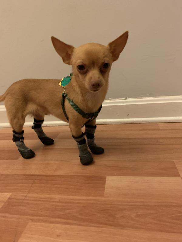 GF PET All Terrain Dog Boots, Charcoal, Large