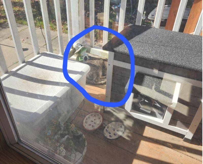 There she is next to it...lol