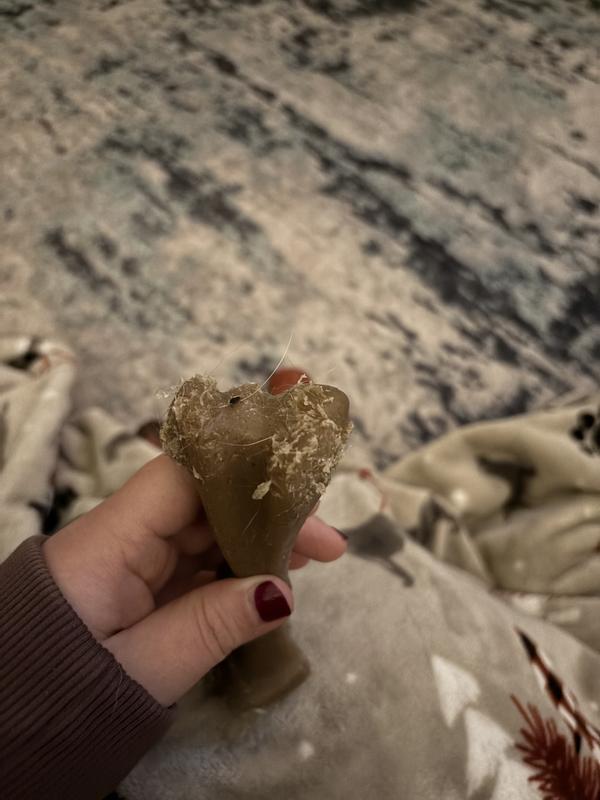 After ~2 hours of chew time with 2 Labradors, one which chews pretty intensely.