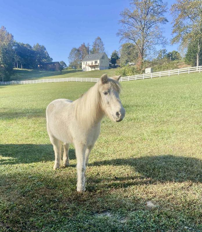 “I’m happy and healthy with my Unbeetable!”