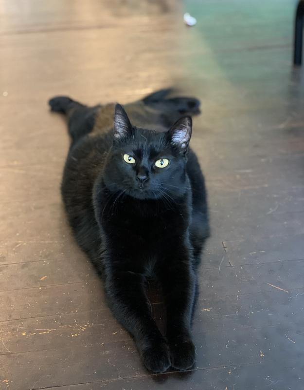 Tula’s cool down pose