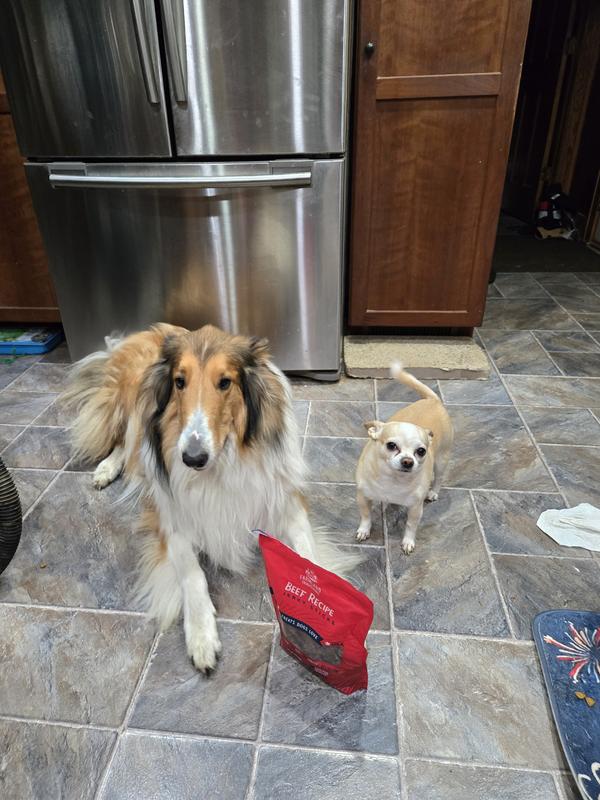 Deisel and Woody waiting patiently for their next treat.
