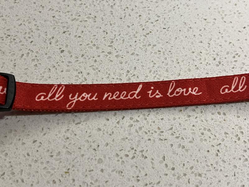 All you need is love message