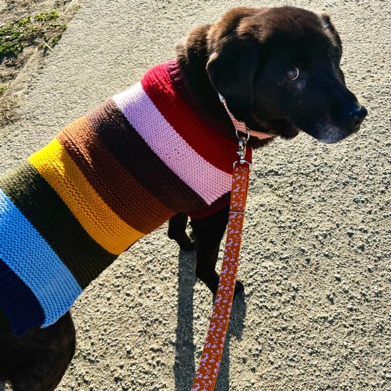 It’s sweater weather!