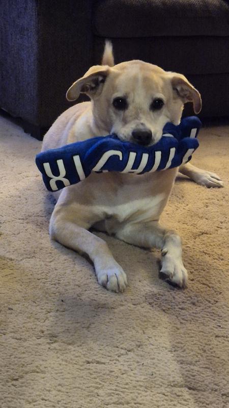 Finn hoarding the toys