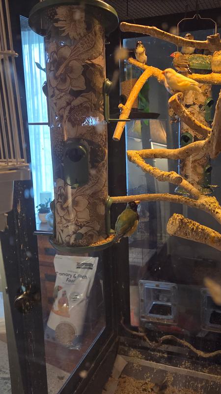 Quickly accepted by pets