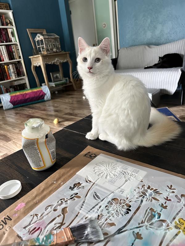 Raffi “helping” me