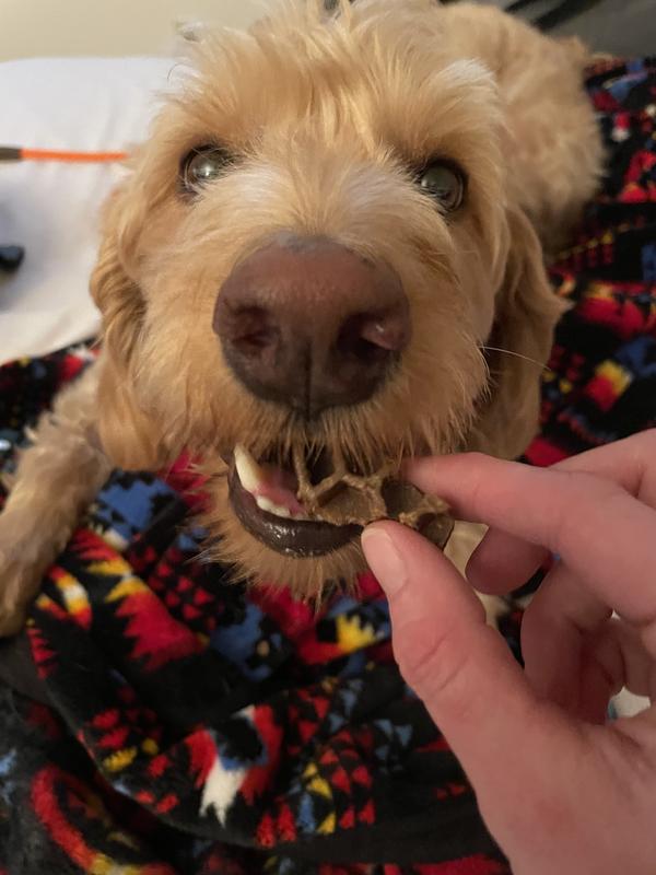 Loves his Yummy Combs!!