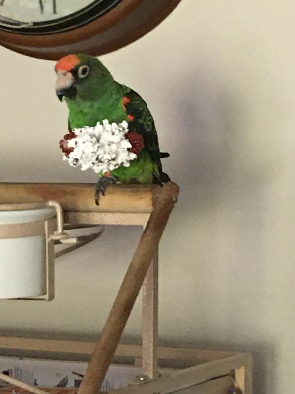 Foot full of happiness!!