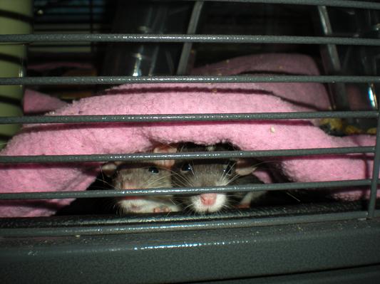 Is it food time yet?
