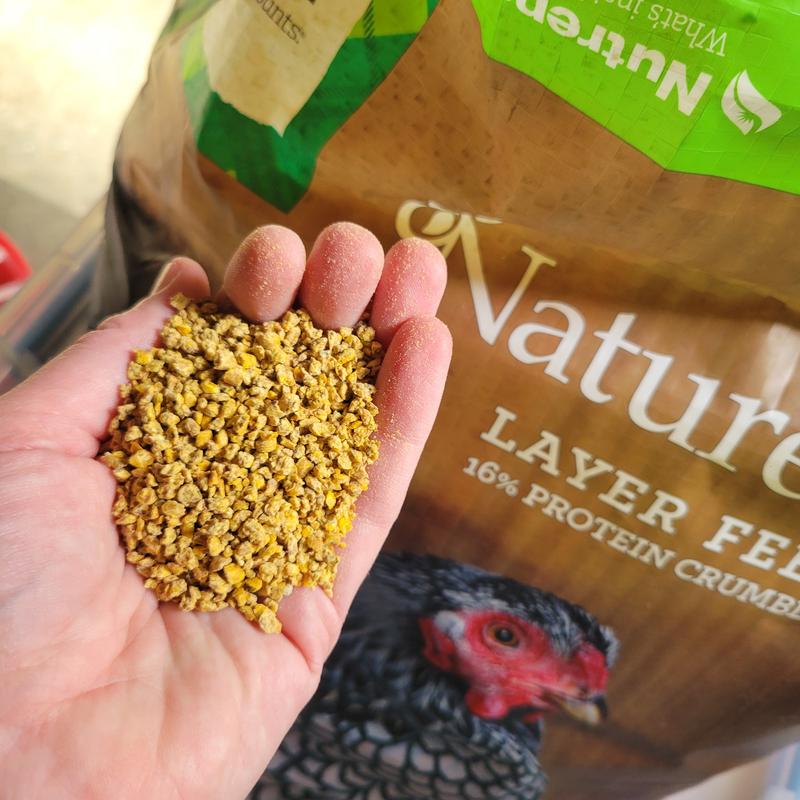 Chewy chicken feed sales