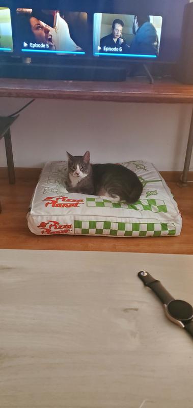 Living his best life!:)