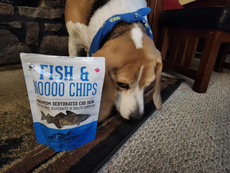 Jasper's new favorite treat!