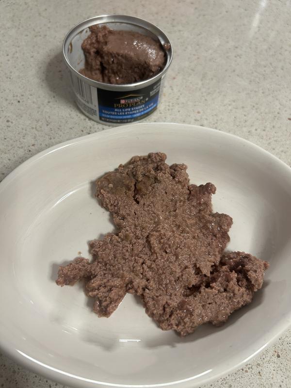 It’s solid in the can so I patted it down for them.