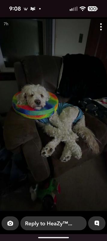 I don't think he minds it!