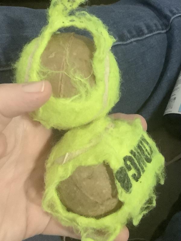 KONG SqueakAir Balls Packs Dog Toy, Medium, 6 count