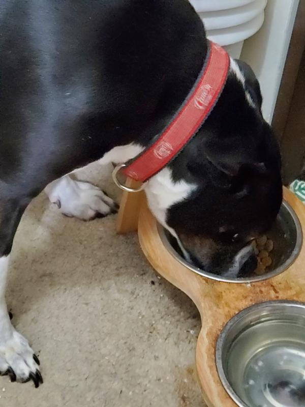 Bobby Cleaning His Dish