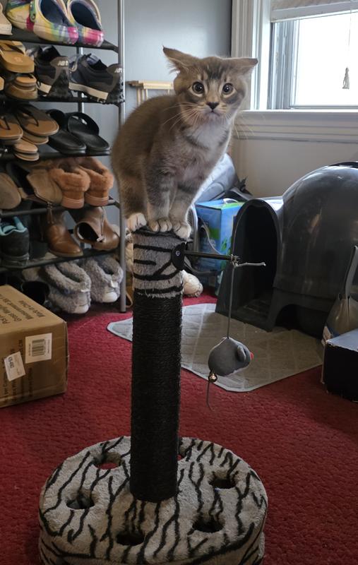 A new approach to using the toy.