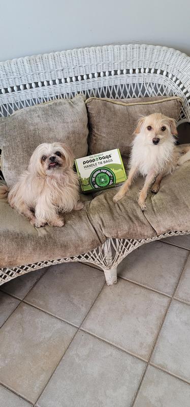 Bluey and Justin approved