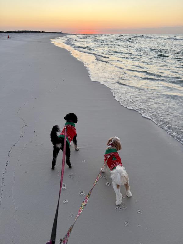 Festive on the beach