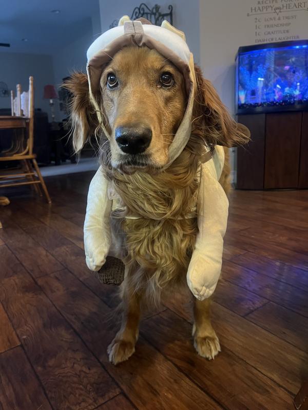 Look at the nut in hand