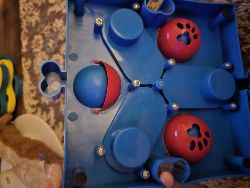 SPOT Seek-A-Treat Flip 'N' Slide Hundespielzeug – Interaktives Puzzle Mit Leckerli-Verstecken