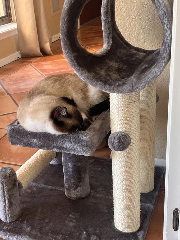 Frisco 28 inch cat tree hotsell