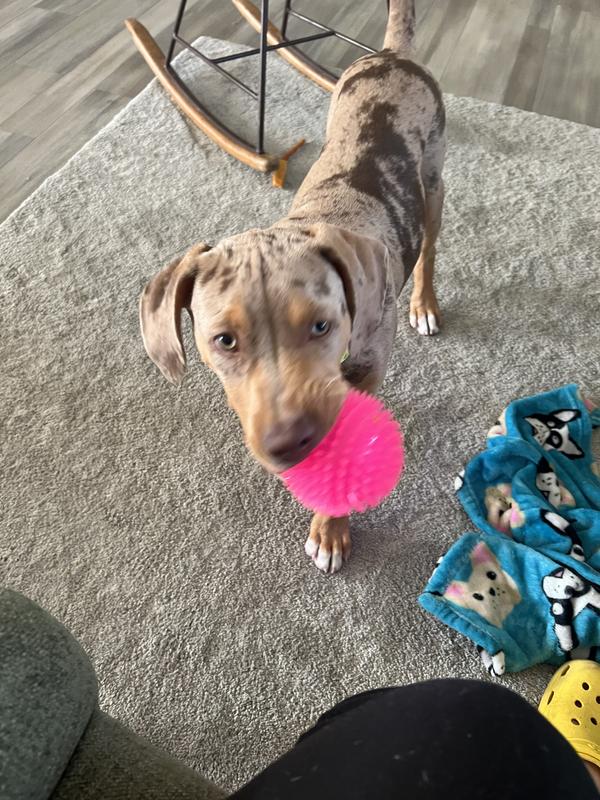 Fetch session