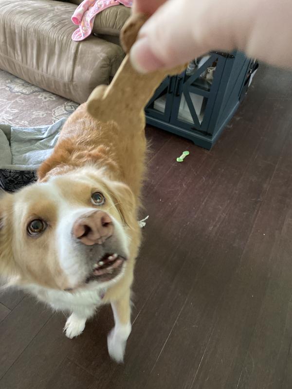 Treats are more fun now!