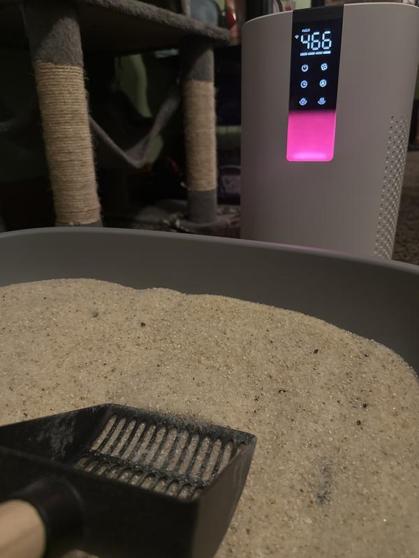 After scooping 2-5 times, (red light indicating dust in the air) bad air in the room dusty ash