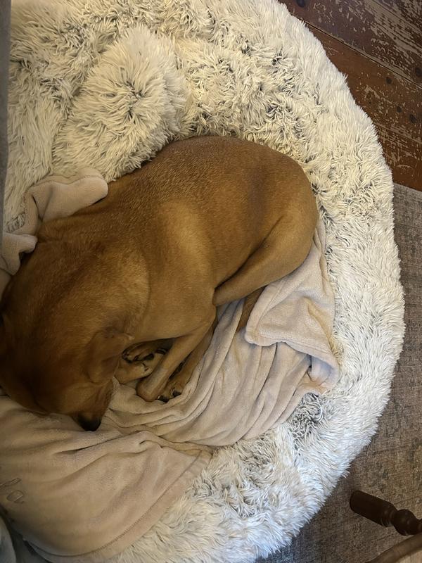 Snoozin again