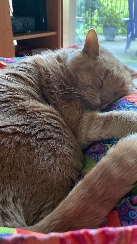 My Desmond