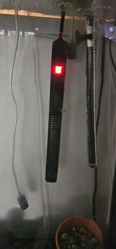 77 to 80+ in less than a minute isn't normal