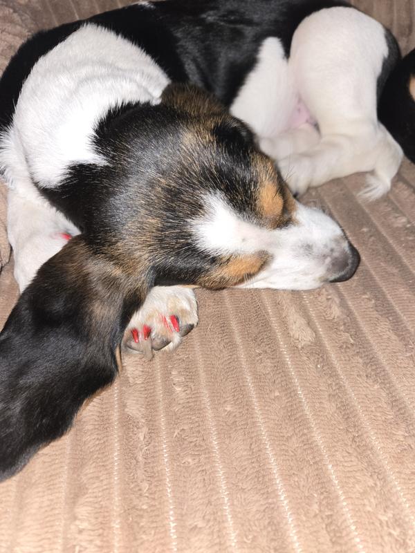 Not the best... they kept moving.