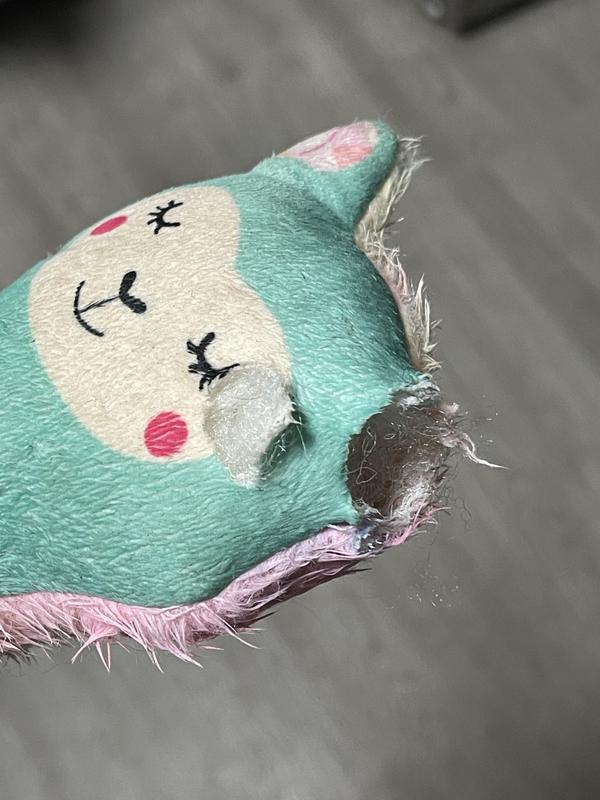 Aftermath of heavy chewers- held up decently!