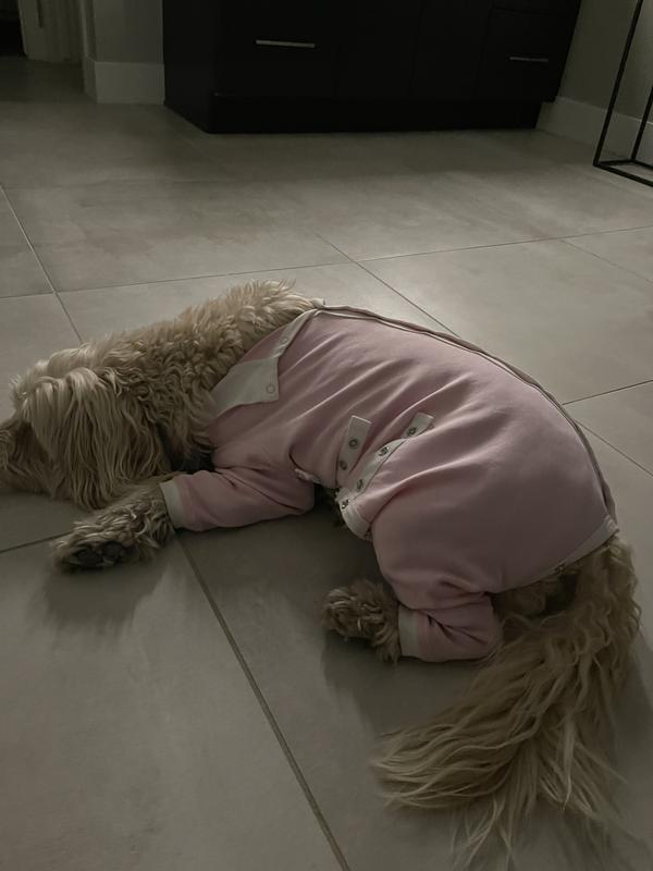 Tulane's Closet Cover Me by Tui Adjustable Fit Long Sleeve Step-Into Dog Onesie
