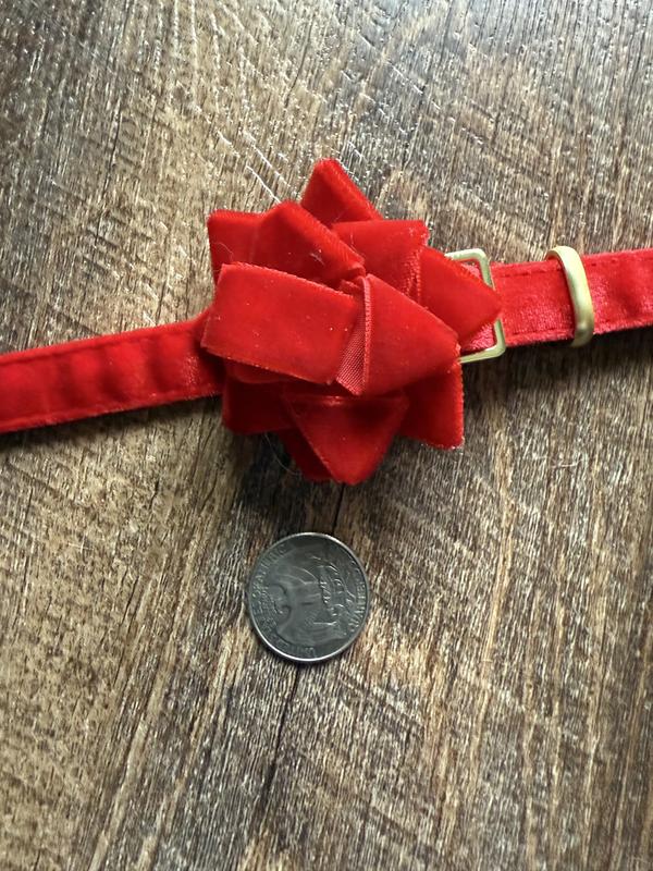 Bow with quarter for scale