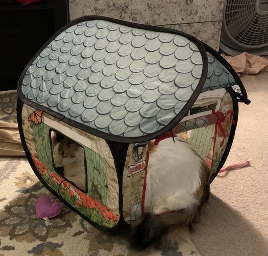 POP-UP CAMPER PLAY SPACE ​by KONG CAT TOYS