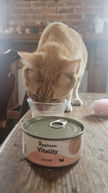 Mango enjoying Tuna